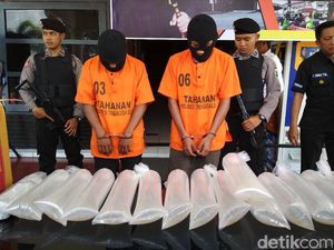 Penyelundupan 30 Ribu Benur, Ini Pengakuan Tersangka Penyelundupan 30 Ribu Benur, Ini Pengakuan Tersangka