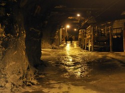 DPR Papua Dorong Pemda Ikut Ambil Saham Freeport