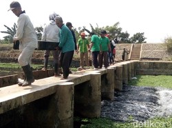Hasil Laboratorium, Sungai Pecangaan Jepara Tercemar Ringan