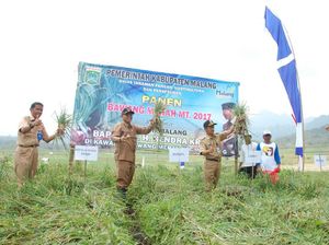 Panen Raya Tapi Harga Komoditas Jatuh, Ini Saran Bupati Malang