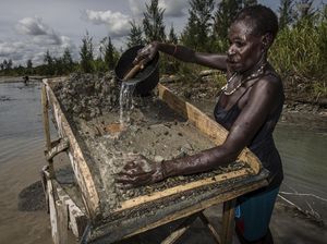 Potret Penambang Emas Ilegal di Timika