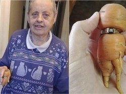 13 Tahun Mencari, Menantu Temukan Cincin Tunangan Wanita Ini Tersangkut di Wortel!