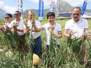 Penjualan Pupuk Indonesia Naik Jadi 8,9 Juta Ton