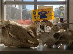 Aneh, Toko Ini Jual Barang Bertema Kematian