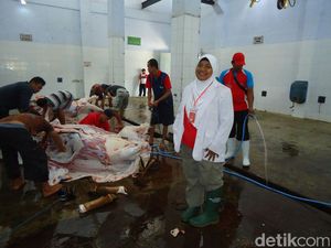 RPH Blitar Siap Sembelih Hewan Kurban Gratis RPH Blitar Siap Sembelih Hewan Kurban Gratis