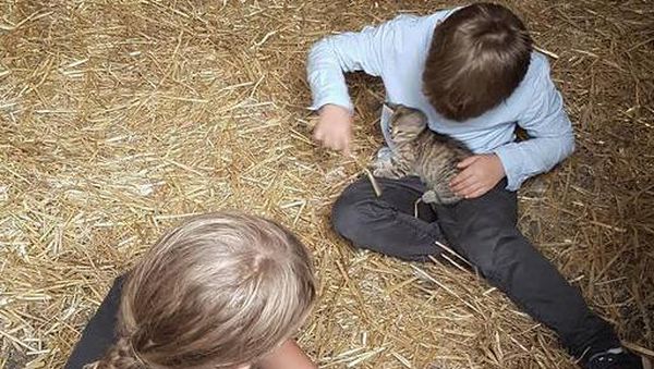 Foto: Aksi Menggemaskan si Kecil Bersama Hewan Ternaknya