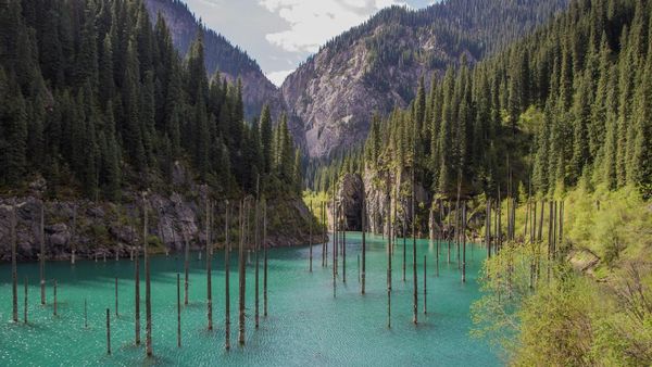 Foto: Lho, Danau Isinya Hutan