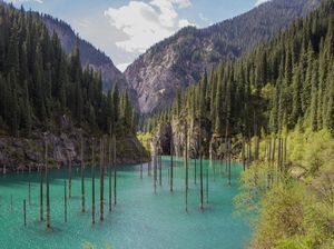Foto: Lho, Danau Isinya Hutan