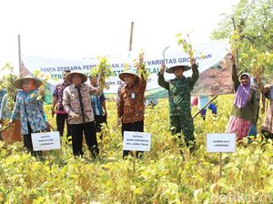 Bupati Fadeli: Lamongan Mulai Produksi Benih Kedelai