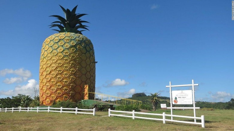 Foto: Big Pineapple di Bathurst, Afrika Selatan (Kate Whitehead/CNN)