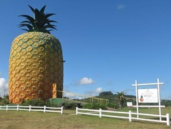 Rumah Spongebob di Dunia Nyata