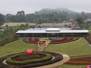 Purbalingga Punya Kebun Bunga Secantik Ini