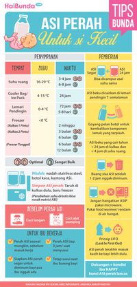 Tips Mudik Nyaman untuk Ibu Menyusui