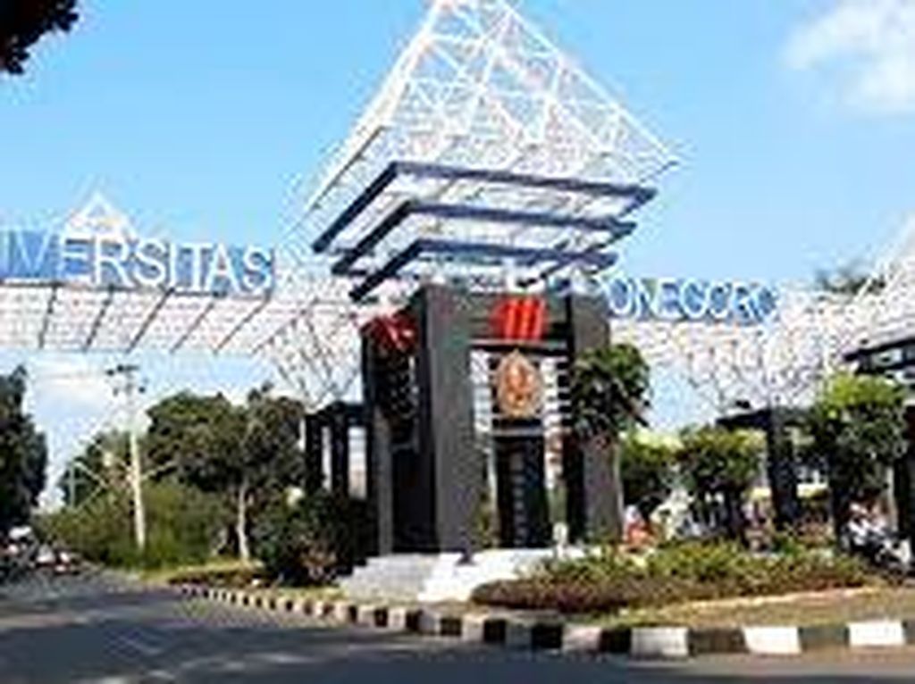 Seleksi Mandiri UM Undip S1 2022 Dibuka, Tidak Pakai Nilai UTBK Nih! Seleksi Mandiri UM Undip S1 2022 Dibuka, Tidak Pakai Nilai UTBK Nih!