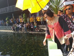 Ini Ucapan Sri Mulyani Saat Puji Keindahan Desa Ponggok