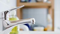 Hiii...! 15 Alat Dapur Ini Ternyata Jauh Lebih Jorok dari Dudukan Toilet