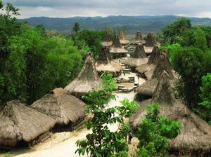 Gawat! Pulau Sumba Masuk Daftar Situs Terancam Punah