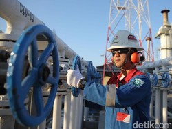 Panjang, Jadi Pegawai Pertamina Harus Lalui 7 Tahap