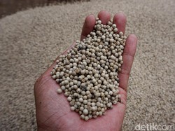 8 Manfaat Makan Lada bagi Ibu Hamil