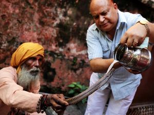 Memuja Ular Demi Keberkahan Hidup