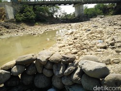 Cibarusah Bekasi Kekeringan, Camat Minta Bantuan BPBD
