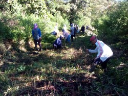 Cegah Kebakaran Hutan, KPH Lawu Buat Ilaran