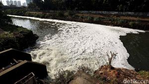 Sungai Ciliwung di Manggarai Berbuih