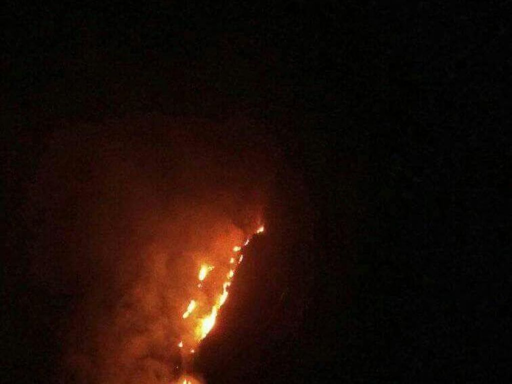 Lahan Wisata Gunung Batu Bogor Terbakar