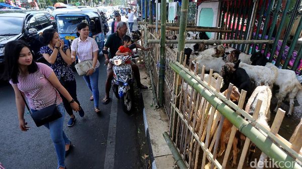 Ketika Trotoar Dijadikan Lapak Hewan Kurban