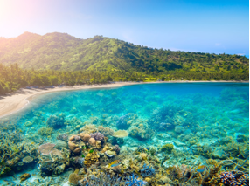 Destinasi Wisata Halal Indonesia Goda Turis China