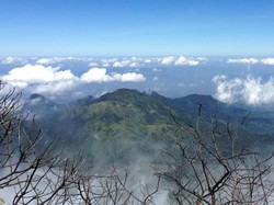 Eksotisme Gunung Lawu yang Selalu Bikin Pendaki Rindu