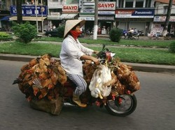 Jangan Sembarangan, Bawa Barang di Motor Ada Batasannya Lho!