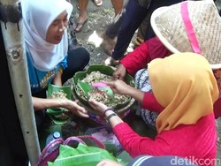 Ribuan Orang Serbu Festival Nasi Megono di Purworejo