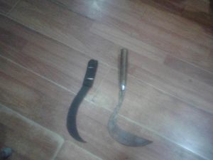 8 Remaja Anggota Geng Motor Bersajam Diciduk Saat Akan Tawuran