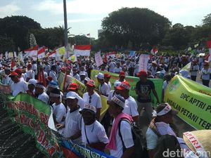 Demo ke Jakarta, Petani Tebu Minta Gula Dihargai Rp 11.000/Kg