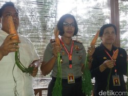 Polisi: Ada Kabar Wortel dari Bibit Ilegal Asal China Berbahaya