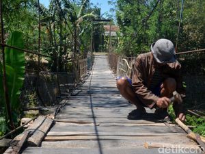 Potret Perjuangan Si Jalak Perbaiki Jembatan Rusak di Cirebon