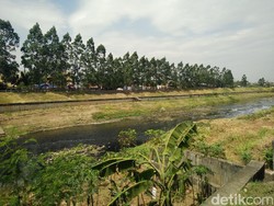 Melihat Aliran Kanal Banjir Timur yang Bersih dari Sampah