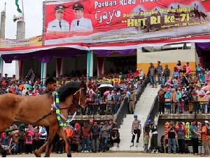 Seruput Kopi Gayo Sambil Saksikan Lomba Pacuan Kuda