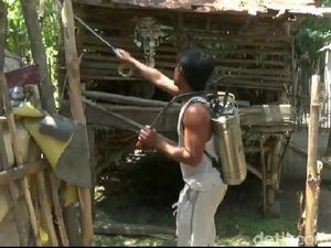 Kandang Tempat Kambing Mati Mendadak Disemprot Disinfektan Kandang Tempat Kambing Mati Mendadak Disemprot Disinfektan