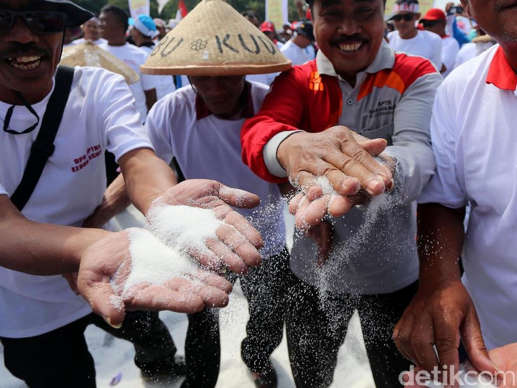 Jokowi Bakal Bentuk Tim Independen Atur Harga Gula
