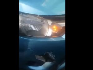 Ini yang Bikin Sopir Taksi Marah-marah This is Indonesia ke Bule