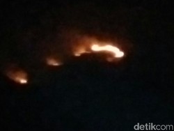 Hutan Seluas 10 Hektare di Ibun Kabupaten Bandung Terbakar