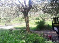 Dikira Sungguhan, Dinamit yang Ditemukan Mainan Properti Karnaval