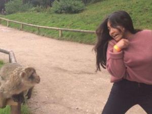 Viral, Traveler Cantik yang Diuber Monyet Galak