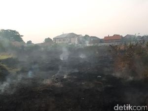 Kemarau, Jumlah Kebakaran Januari-September 126 Kejadian