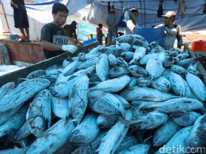 Pemerintah Harus Lakukan Ini untuk Optimalkan Potensi Laut RI