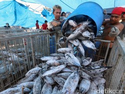Indonesia Segera Punya Pasar Ikan Modern di Muara Baru