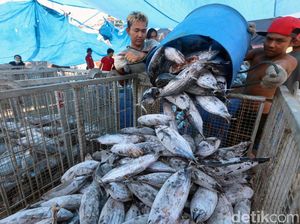Indonesia Segera Punya Pasar Ikan Modern di Muara Baru Indonesia Segera Punya Pasar Ikan Modern di Muara Baru