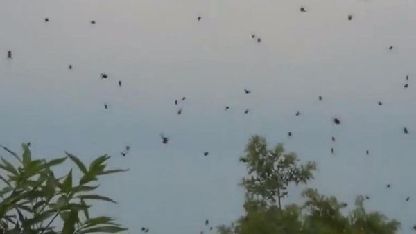 Hujan-hujan Aneh di Dunia: Darah, Laba-laba hingga Rumah di Tebet